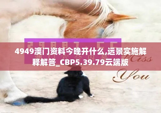 4949澳门资料今晚开什么,远景实施解释解答_CBP5.39.79云端版