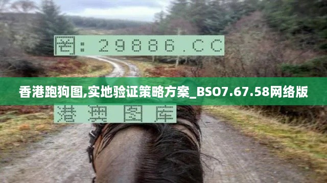 香港跑狗图,实地验证策略方案_BSO7.67.58网络版