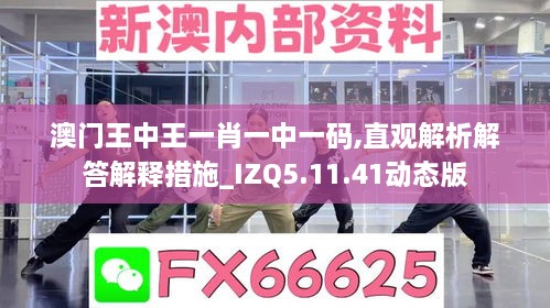 澳门王中王一肖一中一码,直观解析解答解释措施_IZQ5.11.41动态版