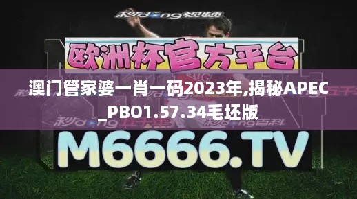 澳门管家婆一肖一码2023年,揭秘APEC_PBO1.57.34毛坯版