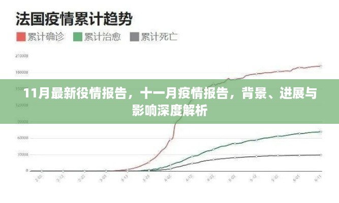 11月疫情最新报告，深度解析背景、进展与影响