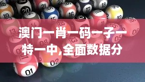 澳门一肖一码一孑一特一中,全面数据分析实施_IQL4.63.32网络版