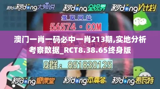 澳门一肖一码必中一肖213期,实地分析考察数据_RCT8.38.65终身版