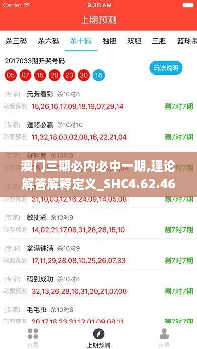 澳门三期必内必中一期,理论解答解释定义_SHC4.62.46未来科技版