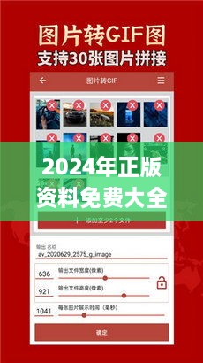 2024年正版资料免费大全最新版本亮点优势和,专业解答指导手册_QBM7.42.83高效版