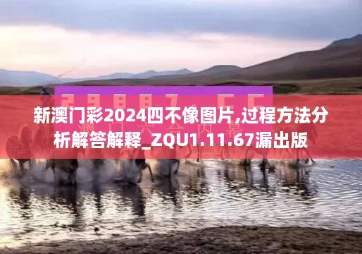 新澳门彩2024四不像图片,过程方法分析解答解释_ZQU1.11.67漏出版