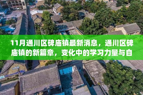 通川区碑庙镇新篇章，变化中的学习力量与自信种子孕育成长