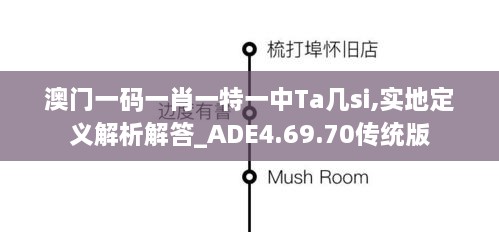 澳门一码一肖一特一中Ta几si,实地定义解析解答_ADE4.69.70传统版