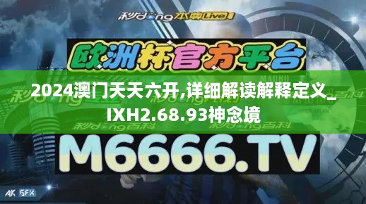 2024澳门天天六开,详细解读解释定义_IXH2.68.93神念境