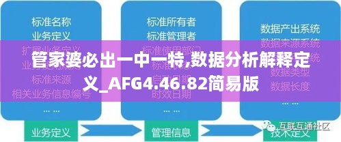 管家婆必出一中一特,数据分析解释定义_AFG4.46.82简易版