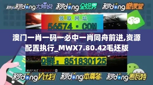 澳门一肖一码一必中一肖同舟前进,资源配置执行_MWX7.80.42毛坯版