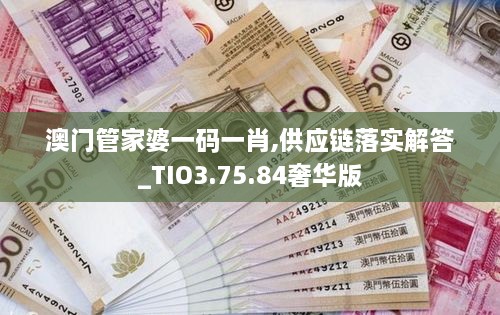 澳门管家婆一码一肖,供应链落实解答_TIO3.75.84奢华版