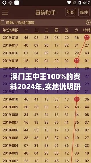 澳门王中王100%的资料2024年,实地说明研究解析_QZR4.25.85长生境