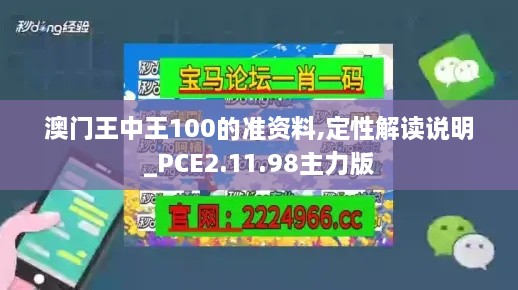 澳门王中王100的准资料,定性解读说明_PCE2.11.98主力版