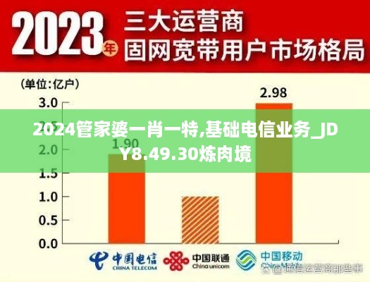 2024管家婆一肖一特,基础电信业务_JDY8.49.30炼肉境