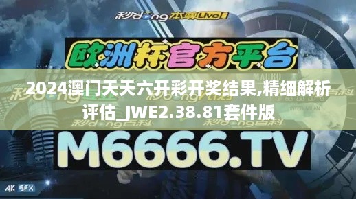 2024澳门天天六开彩开奖结果,精细解析评估_JWE2.38.81套件版