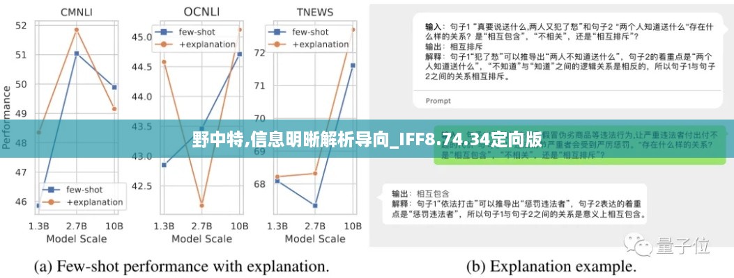 野中特,信息明晰解析导向_IFF8.74.34定向版