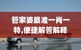 管家婆最准一肖一特,便捷解答解释实施_IDG7.76.32桌面版