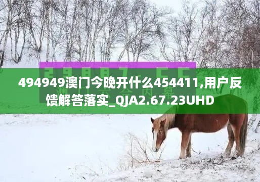 494949澳门今晚开什么454411,用户反馈解答落实_QJA2.67.23UHD