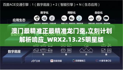 澳门最精准正最精准龙门蚕,立刻计划解析响应_WRX2.13.25明星版