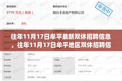 往年11月17日牟平双休招聘信息深度解析，特性、体验、竞品对比及用户分析全知道