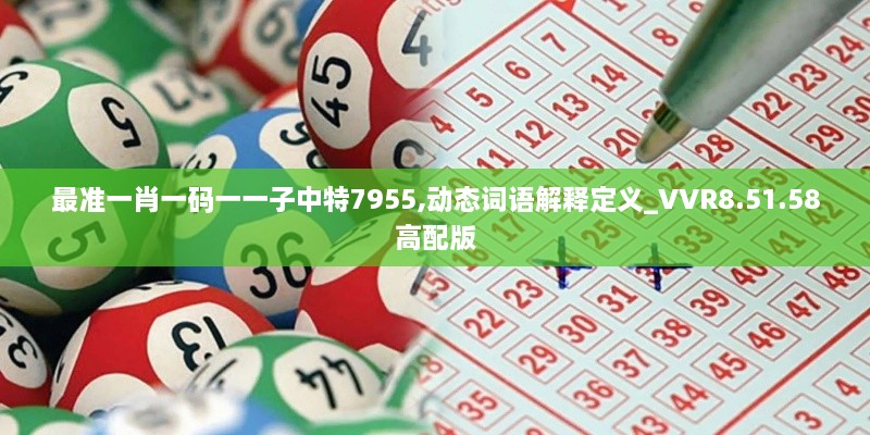 最准一肖一码一一子中特7955,动态词语解释定义_VVR8.51.58高配版