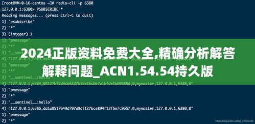 2024正版资料免费大全,精确分析解答解释问题_ACN1.54.54持久版