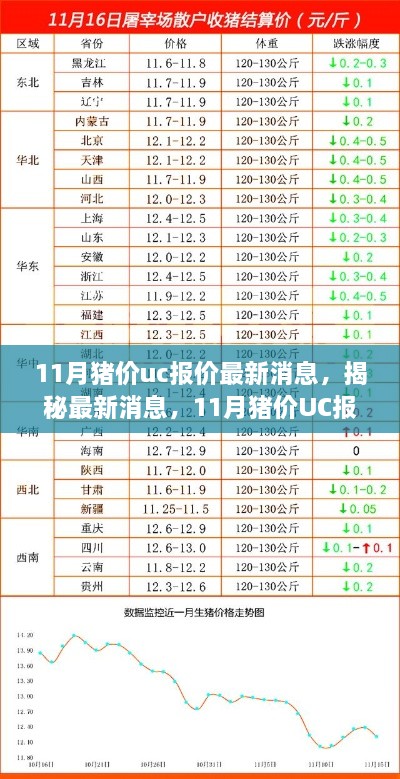 揭秘最新消息，洞悉行业风云变幻下的11月猪价UC报价走势分析