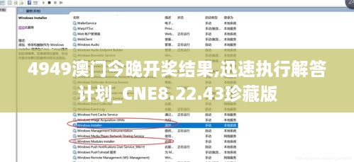 4949澳门今晚开奖结果,迅速执行解答计划_CNE8.22.43珍藏版