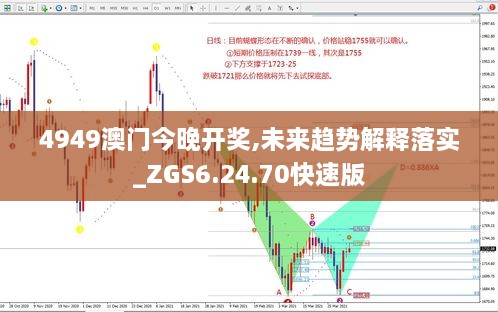 4949澳门今晚开奖,未来趋势解释落实_ZGS6.24.70快速版