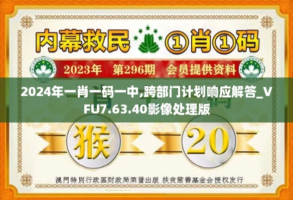 2024年一肖一码一中,跨部门计划响应解答_VFU7.63.40影像处理版