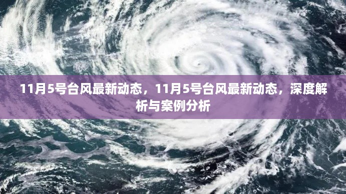 深度解析与案例分析，11月5号台风最新动态