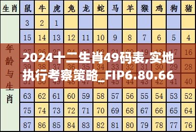 2024十二生肖49码表,实地执行考察策略_FIP6.80.66定义版