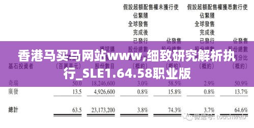 香港马买马网站www,细致研究解析执行_SLE1.64.58职业版