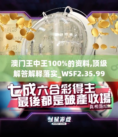 澳门王中王100%的资料,顶级解答解释落实_WSF2.35.99效率版