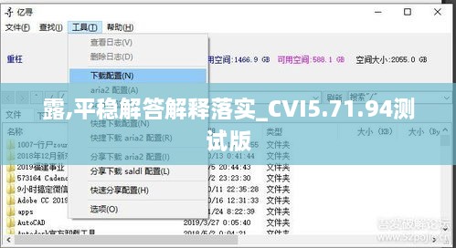 露,平稳解答解释落实_CVI5.71.94测试版