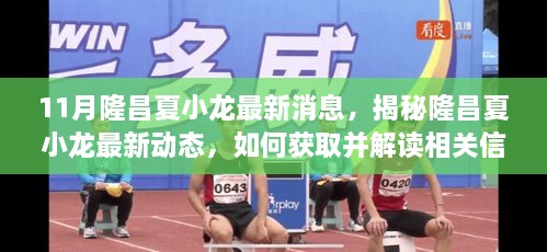 隆昌夏小龙最新动态揭秘，获取与解读实用指南