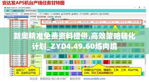 新奥精准免费资料提供,高效策略转化计划_ZYD4.49.60炼肉境