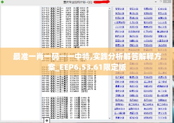 最准一肖一码一一中特,实践分析解答解释方案_EEP6.53.61限定版