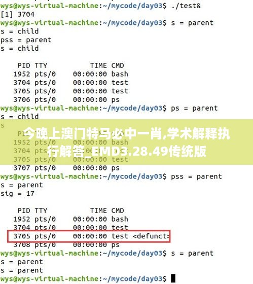 今晚上澳门特马必中一肖,学术解释执行解答_EMD3.28.49传统版