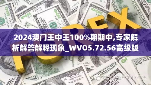 2024澳门王中王100%期期中,专家解析解答解释现象_WVO5.72.56高级版