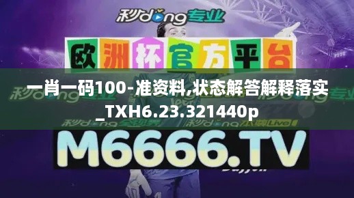 一肖一码100-准资料,状态解答解释落实_TXH6.23.321440p