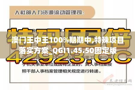 澳门王中王100%期期中,特殊项目落实方案_QGI1.45.50固定版