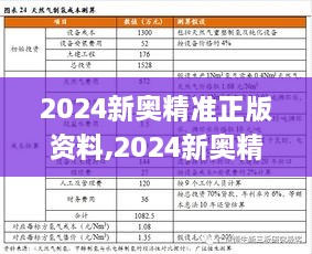 2024新奥精准正版资料,2024新奥精准正版资,战术探讨解答解释计划_IUD3.78.51并行版