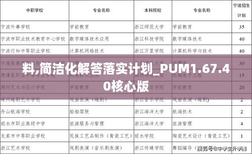 料,简洁化解答落实计划_PUM1.67.40核心版