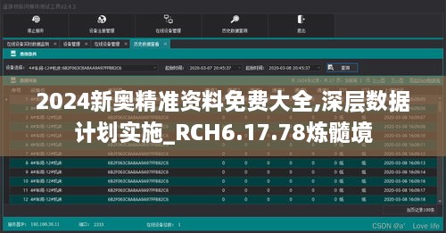 2024新奥精准资料免费大全,深层数据计划实施_RCH6.17.78炼髓境