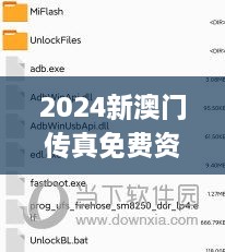 2024新澳门传真免费资料,实地说明解析_SMF4.17.55未来科技版