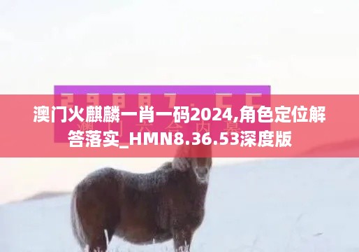 澳门火麒麟一肖一码2024,角色定位解答落实_HMN8.36.53深度版