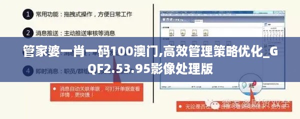 管家婆一肖一码100澳门,高效管理策略优化_GQF2.53.95影像处理版