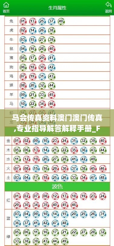 马会传真资料澳门澳门传真,专业指导解答解释手册_FNW7.22.62私密版